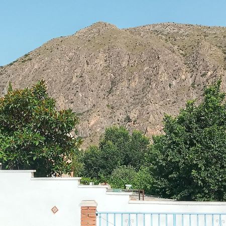 Recovery Mountain Homestay Alicante Eksteriør billede