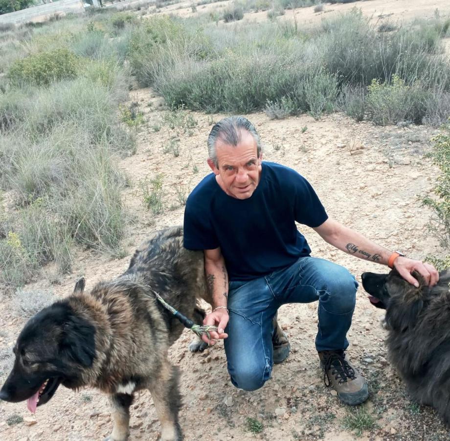 Recovery Mountain Homestay Alicante Eksteriør billede